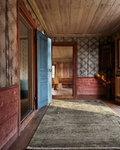 Elegant Dyed Special Shiny High-Quality Dense Woven Living Room Hallway Modern Rug 1DGRN
