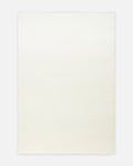 Peace Hav Dust-Free Soft Touch Elegant Shaggy Carpet 01 WHITE