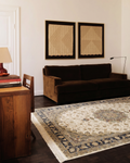 Topkapi Series High Quality Dense Weave Classic Pattern Special Shiny Living Room Carpet 04 CREAM